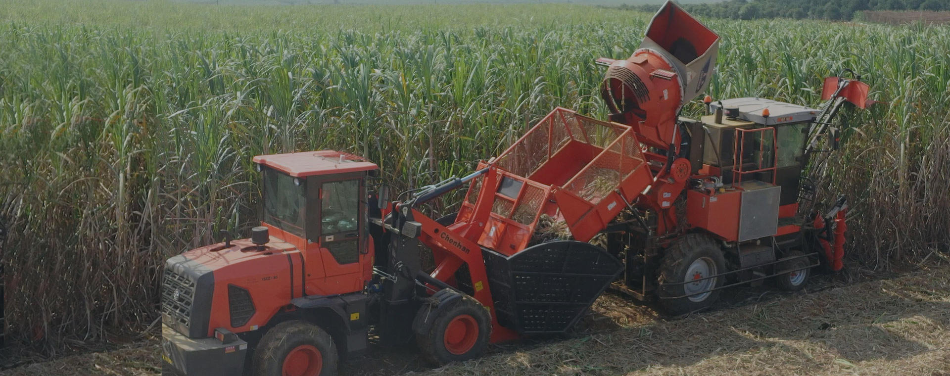 Chenhan Sugarcane Harvesting Mechanization