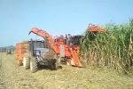 Chenhan Tech 4GQ-1C Whell/Crawler Type Sugarcane Harvester