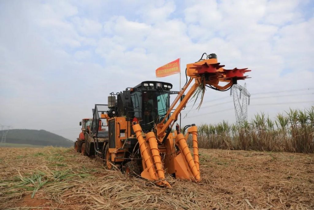 Chenhan Sugarcane Harvester-1